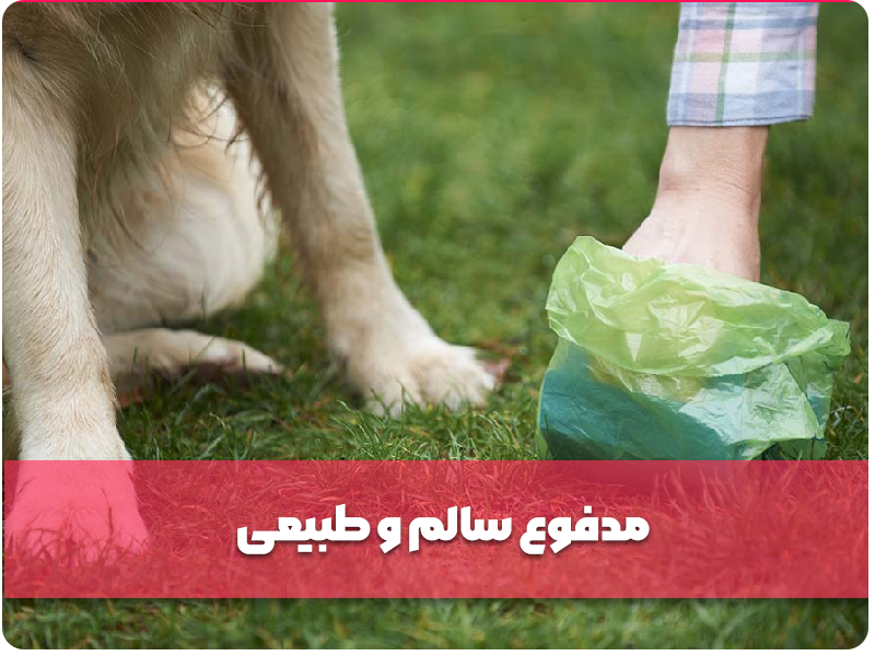 مدفوع سالم و طبیعی